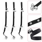 Sa5a122a2df2d452a85b1a42e02c19f56P