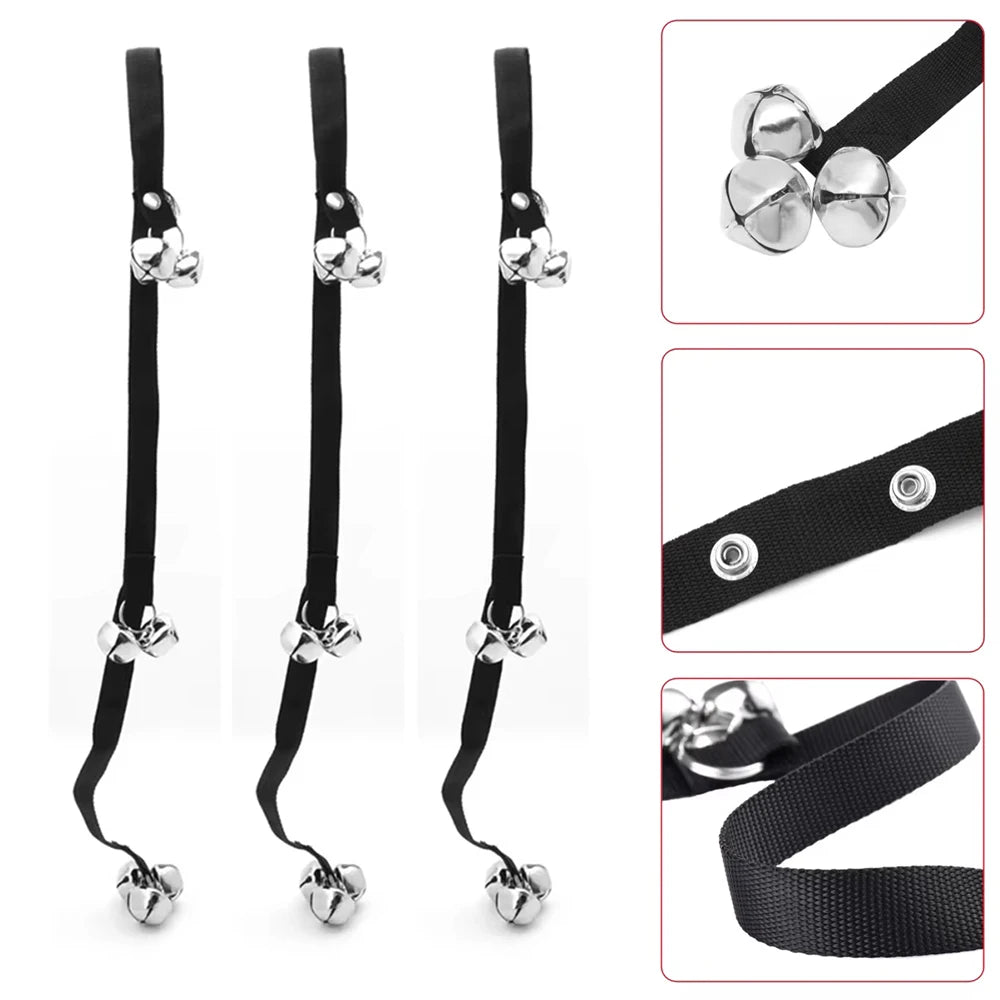 Sa5a122a2df2d452a85b1a42e02c19f56P